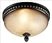 Search : Kenroy Home 91667ORB Ponte Vedra 3-Light Flush Mount, Oil Rubbed Bronze