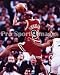 Dennis Rodman Chicago Bulls 8x10 Photo
