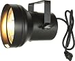 Chauvet PAR 36 Pinspot with Bulb