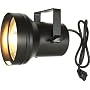Chauvet PAR 36 Pinspot with Bulb