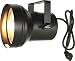 Chauvet PAR 36 Pinspot with Bulb