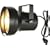 Chauvet PAR 36 Pinspot with Bulb