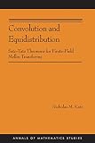 Convolution and equidistribution : Sato-Tate theorems for finite-field Mellin transforms