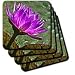 Decorative colorful garden botanic classic plant water lily blue flower - Set Of 4 Ceramic Tile Coasters