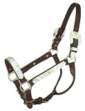 Silver Royal Sterling Silver Berry Diagonals and Gold Star Show Halter