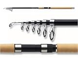 Daiwa APOLLO Tele 90 3.60m 40-90g