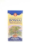 Single Bonsai Tree Seed Kit - Australian Alpine Wattle Tree