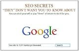 SEO Do it Yourself Secrets 
