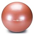 Natural Fitness 65cm Professional Burst-Resistant Exercise Ball (Red Rock)