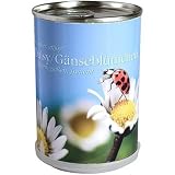 Zoom Produkt-Bild: G&auml;nsebl&uuml;mchen Daisy in der Dose MacFlowers