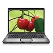 HP Pavilion DV6000T 15.4" NOTEBOOK LAPTOP PC (Intel Core 2 Duo T7250 at 2.0GHz, 3GB RAM, 200GB HDD/ SuperMulti DVD+/-R/RW L/WIRELESS/Intel Graphics X3100 w/ Webcam/Windows Vista Home Premium)