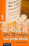 Image de SCHÜSSLER SALZE heute: Das große eBook