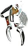 Heavy Duty Professional Garlic Press