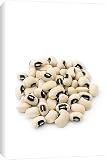 Canvas Prints of Black-eyed beans from Science Photo Library