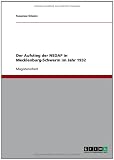 Der Aufstieg der NSDAP in Mecklenburg-Schwerin im Jahr 1932 (German Edition)