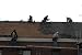 Roofer Roofing Service Start Up Sample Business Plan NEW!