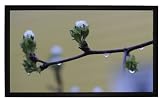 Medium Frame Rahmenleinwand f&uuml;r Wandbefestigung 160x90cm (Format 16:9)