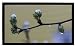 Medium Frame Rahmenleinwand für Wandbefestigung 180x102cm (Format 16:9) Medium Frame Rahmenleinwand für Wandbefestigung 180x102cm (Format 16:9)