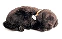 Perfect Petzzz Black Lab