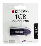 Kingston 1GB USB 2.0 Hi-Speed DataTraveler 110 (Purple) (DT110P/1GB)