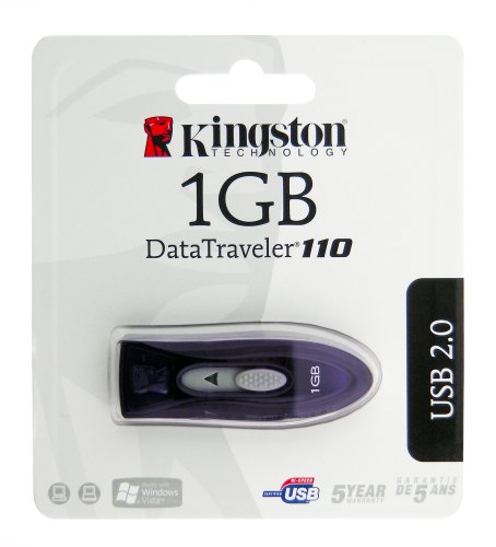 Childrens Toyshop  Electronics : Kingston DataTraveler 110 - USB flash drive - 1 GB - Hi-Speed USB - purple