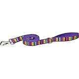 UPC 800443166475 product image for Planet Petco Striped Eco Dog Leash in Purple | upcitemdb.com