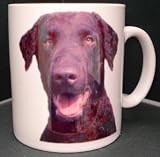 Review The Moneyman  / Curly Coat Retriever DOG MUG