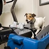 PetZen DogTread Motorized Exercise Treadmill