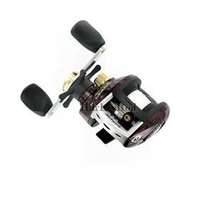 Shakespeare Synergy Low Profile Baitcasting Reel - New