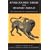 Apollodorus, 'Library' and Hyginus, 'Myths': Two Handbooks of Greek Mythology