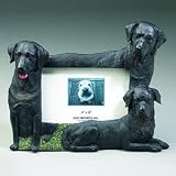 Dog Frame - Labrador (Black)