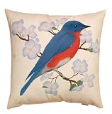 Blue Bird Indoor/Outdoor Weather Resistant Fabric Pillows (Set of two 20 inch)