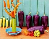 Still Life with Peppers Art Poster Print by Linda Burgess, 20x16