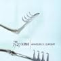 Amateur Soul Surgery