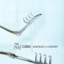 Amateur Soul Surgery
