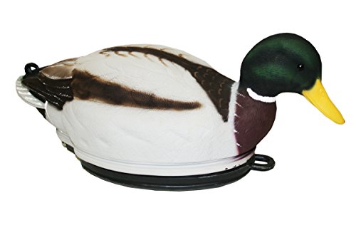 Mojo outdoors swimmer mallard duck decoy