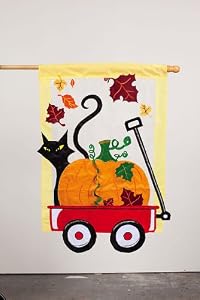 Regular Sized Flag Fall Little Red Wagon