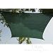 Titan 13 Ft X 13 Ft Square Sun Shade Sail (4m X 4m) Shading Canopy ~ Green Color