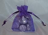 41kiO%2Bu0%2BNL. SL160  Organza Wedding Favor Bags/Pouches   5.5x9   Purple (10 Bags)