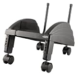 Kantek Angled CPU Stand with Casters, 9 x 12 x 7.5 Inches, Black (CS250B)