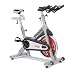 Spinner® Elite Bike