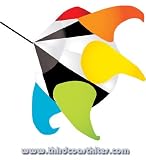 41kinpvuaJL. SL160  Premier Kites Tecmo Star Orb Windsock by Willi Koch