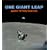 One Giant Leap: Apollo 11 Forty Years on