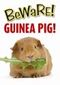 Beware! Guinea Pig! Sign