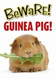 from Otter House Beware Guinea Pig Sign Model 56871