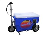 Cruzin Cooler 50-Series 500-Watt Electric Scooter (Blue)