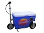 Cruzin Cooler 50-Series 300-Watt Electric Scooter