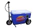 Sporting Goods : Cruzin Cooler 50-Series 300-Watt Electric Scooter