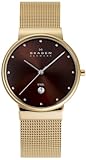 SKAGEN (XJ[Q) rv basic steel mens J355LGGD1 P[X: 34mm Y [KAi]