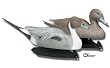 Flambeau Classic Standard Pintail Duck Decoy
